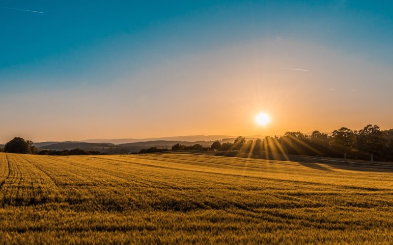 A Beginner’s Guide to Your Carbon Footprint