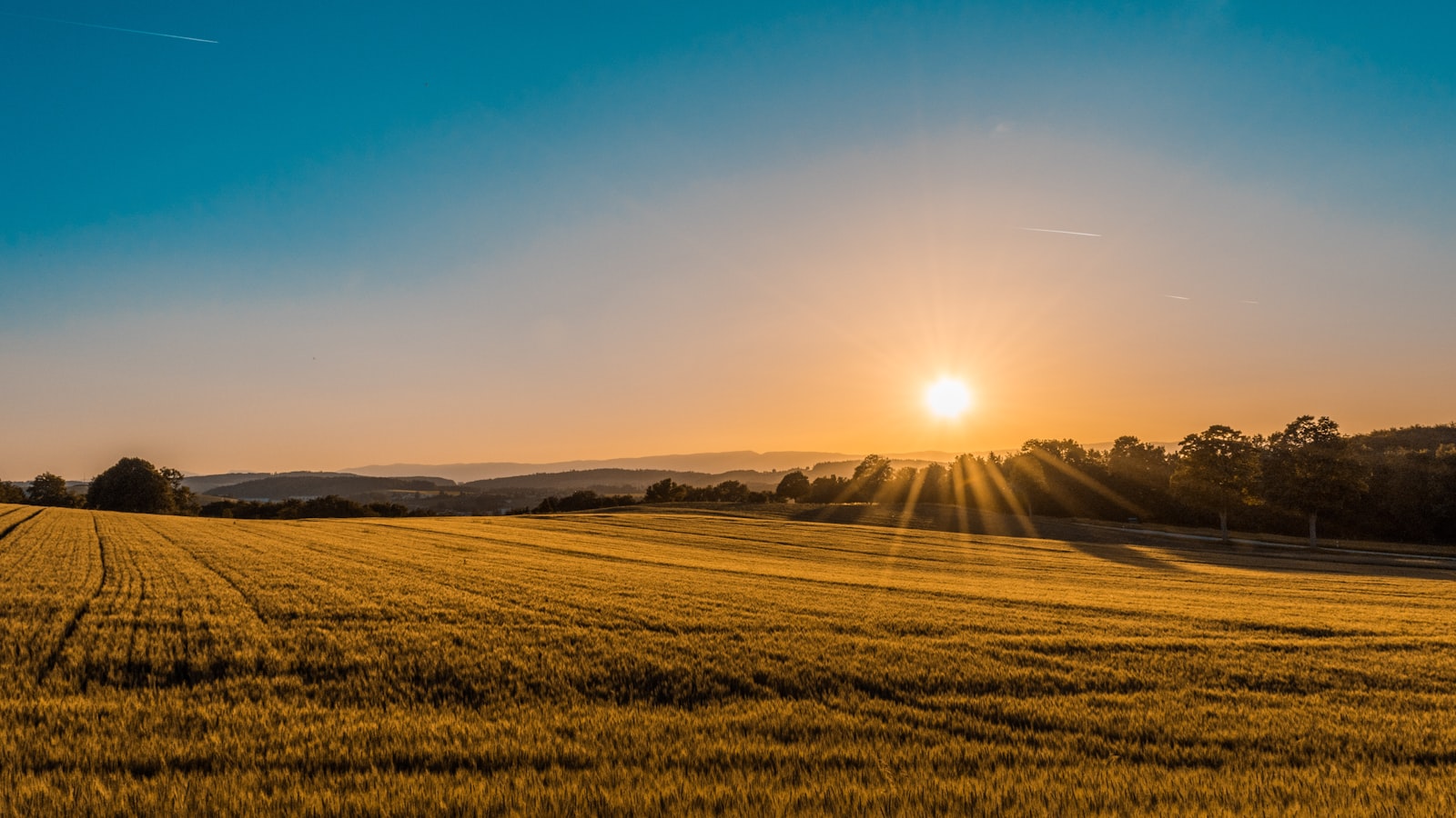 A Beginner’s Guide to Your Carbon Footprint
