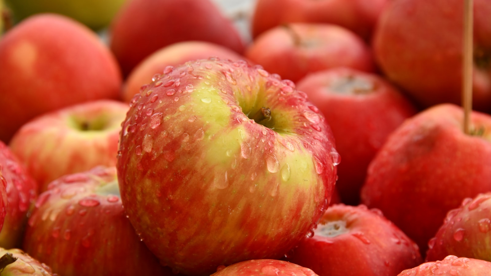 Writing an Eco-Conscious Grocery List That Feeds a Real Week