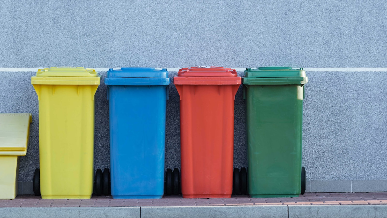 Recycling Mistakes Everyone Makes (And How to Stop Making Them)