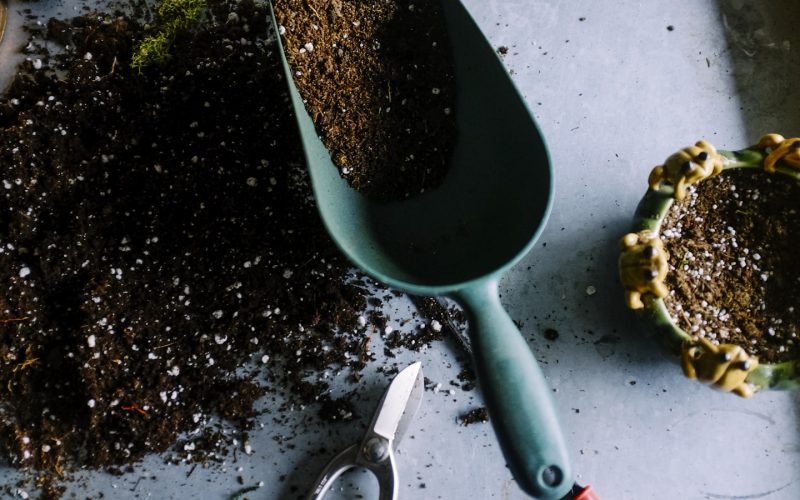 Starting a Community Garden in Your City Block