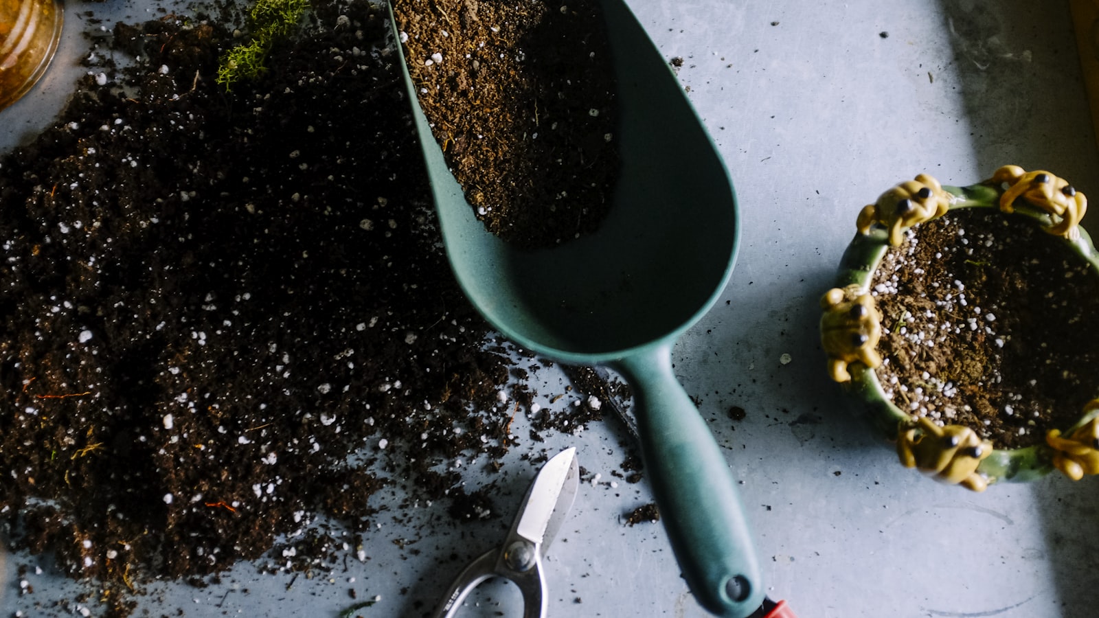 Starting a Community Garden in Your City Block