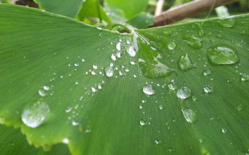 Reusable Menstrual Products: An Honest Review
