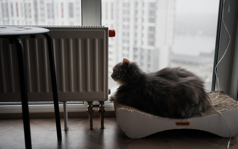 Boiler and Radiator Settings That Quietly Save Rental Tenants Money