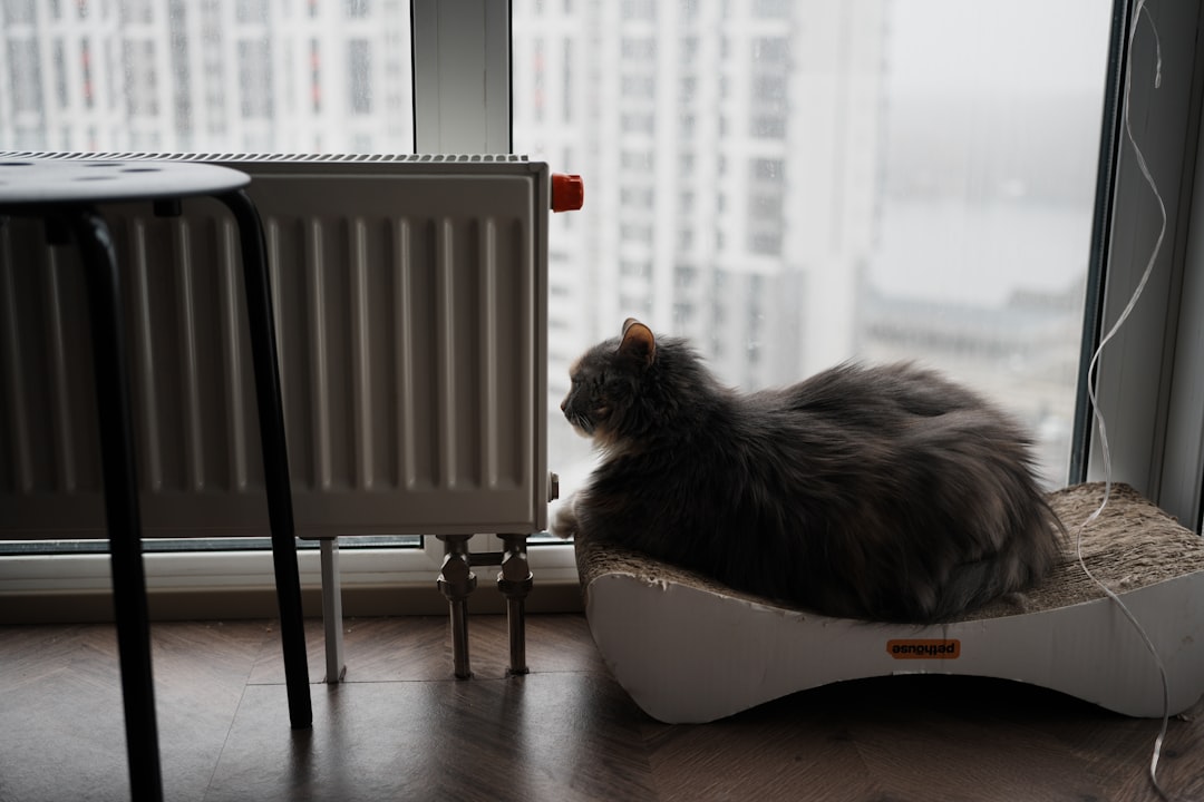 Boiler and Radiator Settings That Quietly Save Rental Tenants Money