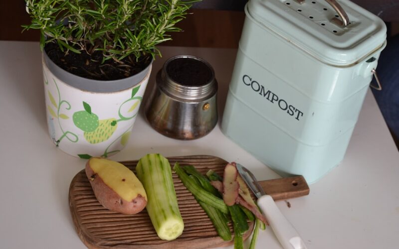 The Kitchen Scrap Hierarchy: Freeze First, Then Compost, Then Bin